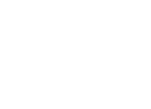 Wave Logo White