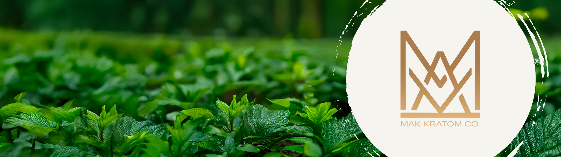MAK Kratom Capsules Banner